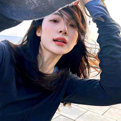 布里斯比熊