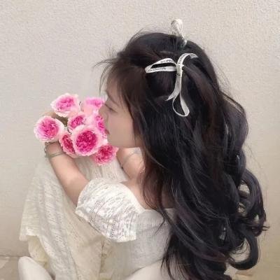 聪明的鸭子